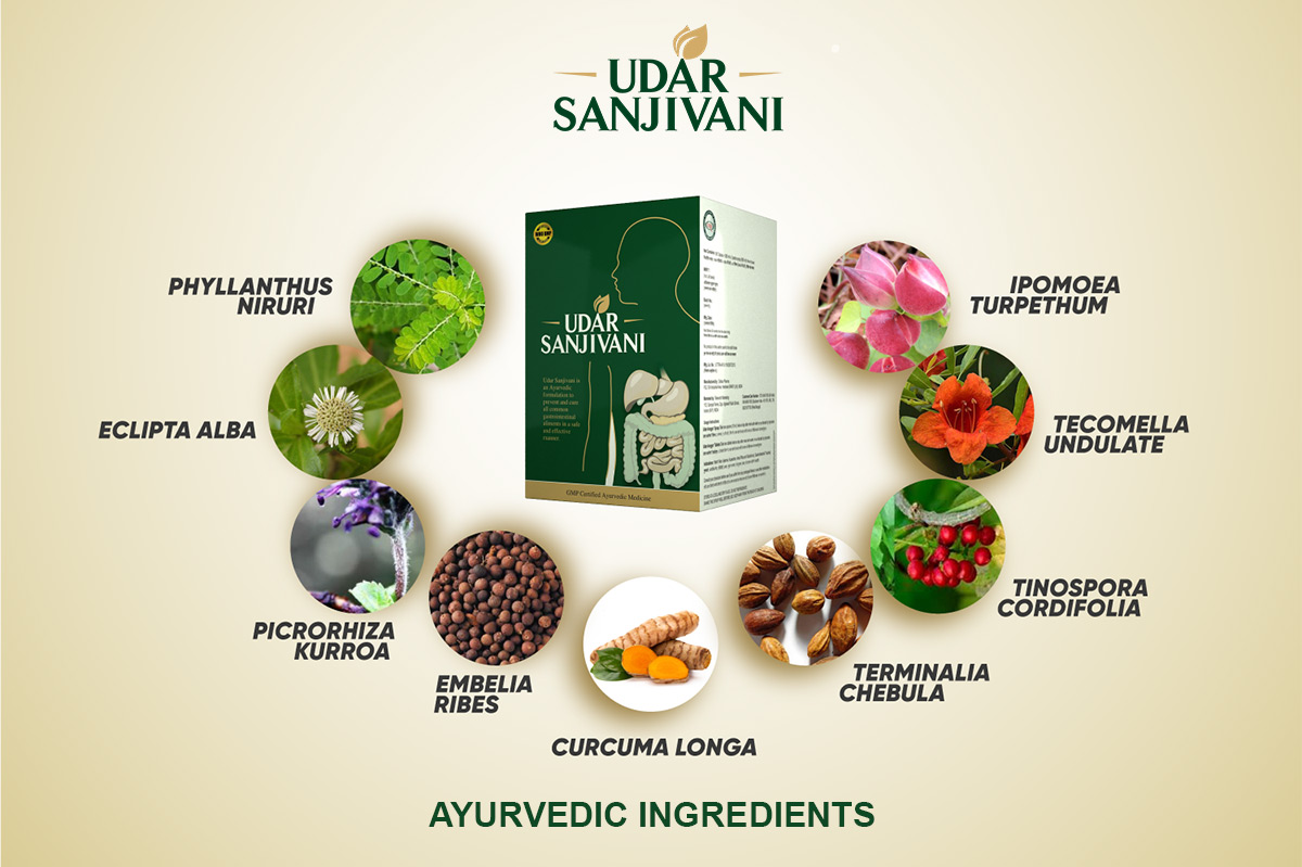 Udar Sanjivani